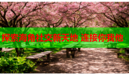 探索海角社交新天地 连接你我他