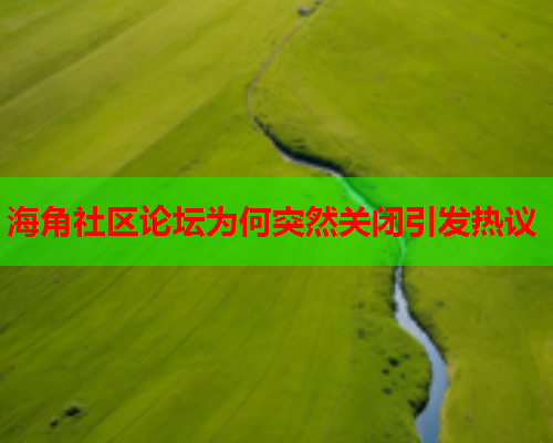海角社区论坛为何突然关闭引发热议