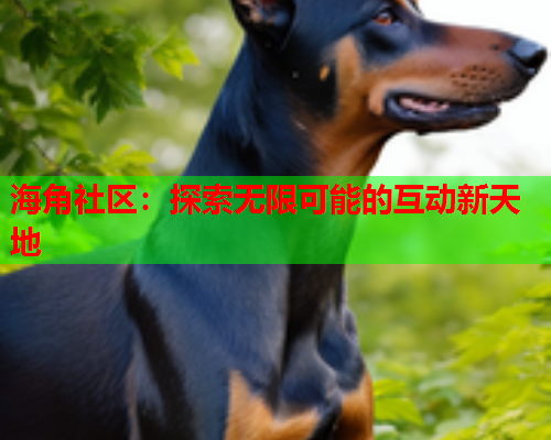 海角社区：探索无限可能的互动新天地